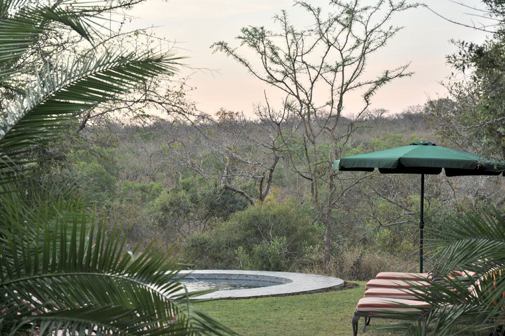 Waterbuck Game Lodge Thornybush Game Reserve Exterior photo